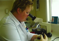 laboratory